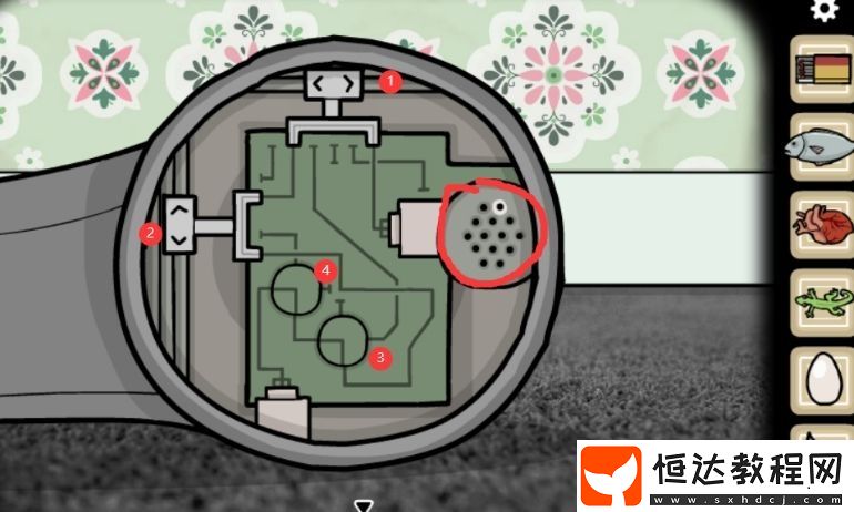 輪回的房間蟲(chóng)子房間花瓣位置全攻略：輕松收集4個(gè)花瓣技巧分享