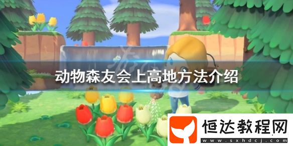 動物森友會上高地方法詳解：梯子制作與購買全攻略