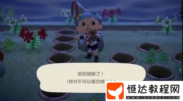 如何高效捕捉狼蛛：無人島旅行卷購(gòu)買與島嶼準(zhǔn)備全攻略