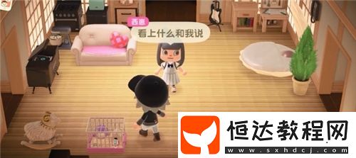 集合啦動物森友會家具獲取全攻略：摸好友家具與島主訂購技巧詳解