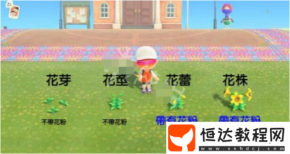 動(dòng)物森友會(huì)花朵雜交機(jī)制詳解：提升雜交成功率的四大關(guān)鍵因素