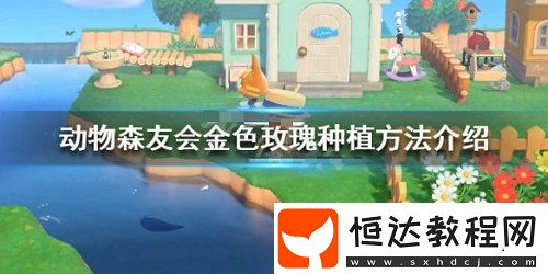 集合啦動(dòng)物森友會(huì)金色玫瑰種植攻略：如何獲得金色水壺與黑色玫瑰雜交技巧