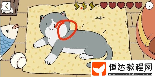 萌宅物語(yǔ)貓咪撫摸技巧全攻略：正確順序與擼貓方法詳解