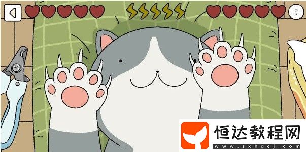 萌宅物語(yǔ)貓咪撫摸技巧全攻略：正確順序與擼貓方法詳解