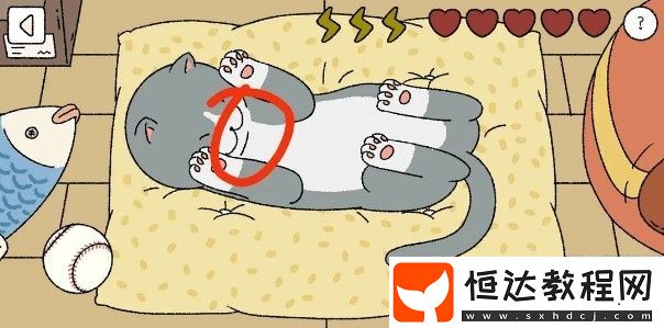 萌宅物語(yǔ)貓咪撫摸技巧全攻略：正確順序與擼貓方法詳解