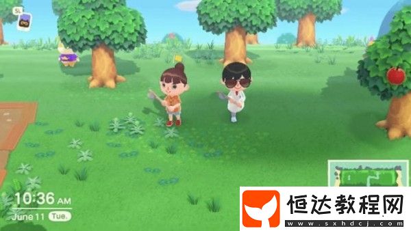 動物森友會多人聯(lián)機攻略：如何與好友一起玩集合啦動物森友會