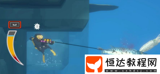 潛水員戴夫手游風(fēng)暴鯊魚派對攻略-潛水員戴夫