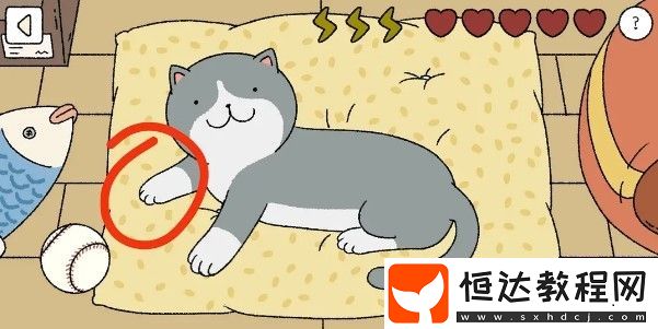 萌宅物語(yǔ)貓咪撫摸技巧全攻略：正確順序與擼貓方法詳解