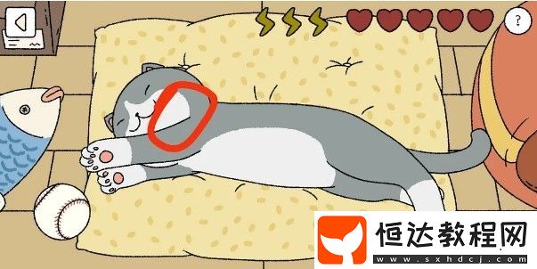 萌宅物語(yǔ)貓咪撫摸技巧全攻略：正確順序與擼貓方法詳解