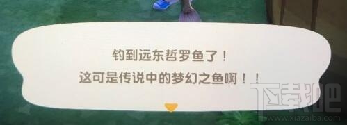 動(dòng)物森友會(huì)遠(yuǎn)東哲羅魚釣魚技巧：出現(xiàn)時(shí)間、位置與**布局全攻略