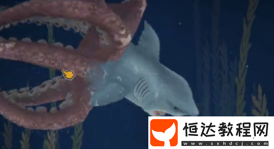 潛水員戴夫手游風(fēng)暴鯊魚派對攻略-潛水員戴夫