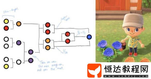 集合啦動物森友會藍玫瑰種植全攻略：紫橙雜交二代紅玫瑰技巧詳解