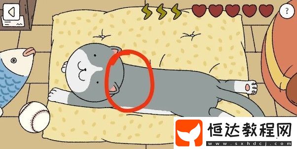 萌宅物語(yǔ)貓咪撫摸技巧全攻略：正確順序與擼貓方法詳解
