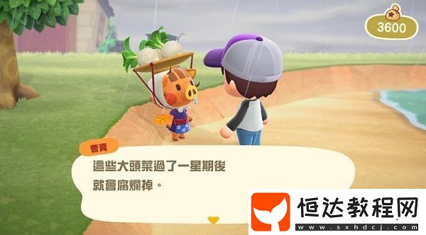 集合啦動(dòng)物森友會(huì)大頭菜購買攻略：如何找到曹賣并獲取大頭菜