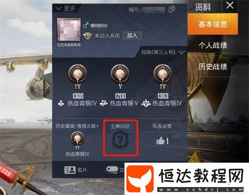 和平精英王牌印記查看方法及獲取途徑全解析，星鉆、皇冠、王牌印記圖標(biāo)詳解