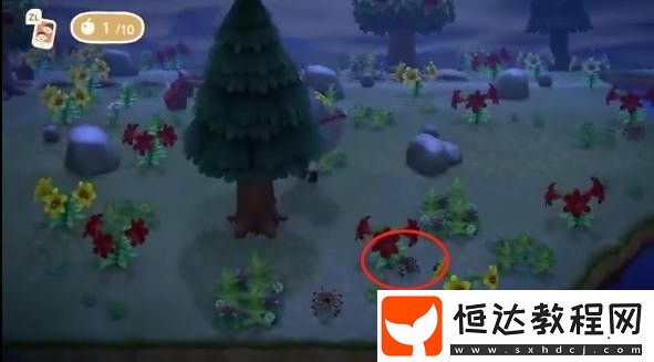 如何高效捕捉狼蛛：無人島旅行卷購(gòu)買與島嶼準(zhǔn)備全攻略
