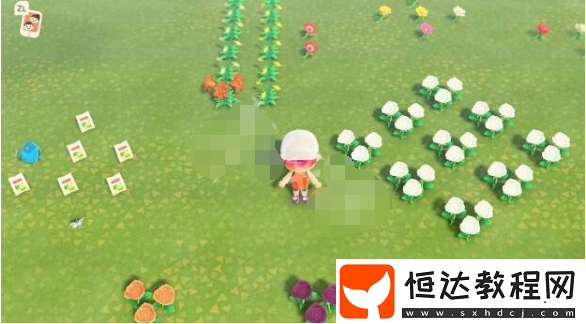 動(dòng)物森友會(huì)花朵雜交機(jī)制詳解：提升雜交成功率的四大關(guān)鍵因素