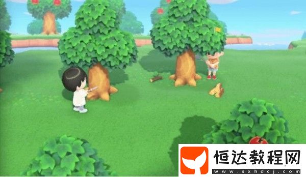 動物森友會多人聯(lián)機攻略：如何與好友一起玩集合啦動物森友會