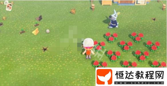 動(dòng)物森友會(huì)花朵雜交機(jī)制詳解：提升雜交成功率的四大關(guān)鍵因素