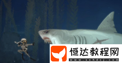 潛水員戴夫手游風(fēng)暴鯊魚派對攻略-潛水員戴夫