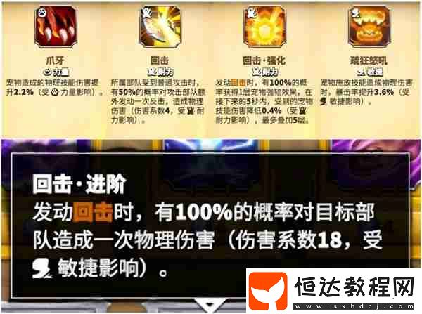 葛如卡寵物選擇推薦