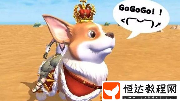 創(chuàng)造與魔法皇家柯基坐騎獲取方法詳解，教你如何獲得萌犬坐騎