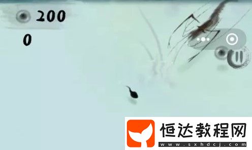 抖音墨蝦探蝌游戲玩法全攻略：小蝌蚪如何生存進(jìn)化與躲避敵人