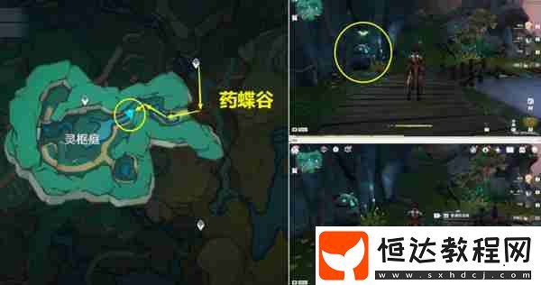 彩蝶翩然過谷中五個蝴蝶位置在哪里
