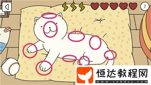 萌宅物語(yǔ)愛(ài)心獲取攻略：天氣預(yù)報(bào)、喂養(yǎng)貓咪與準(zhǔn)備便當(dāng)技巧全解析