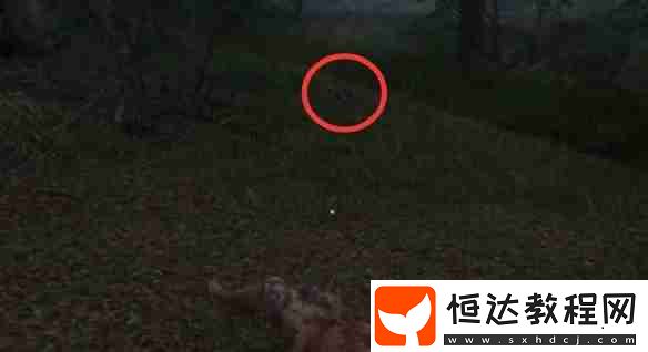 天國(guó)拯救2呆呆任務(wù)流程詳細(xì)圖文版