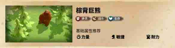 葛如卡寵物選擇推薦