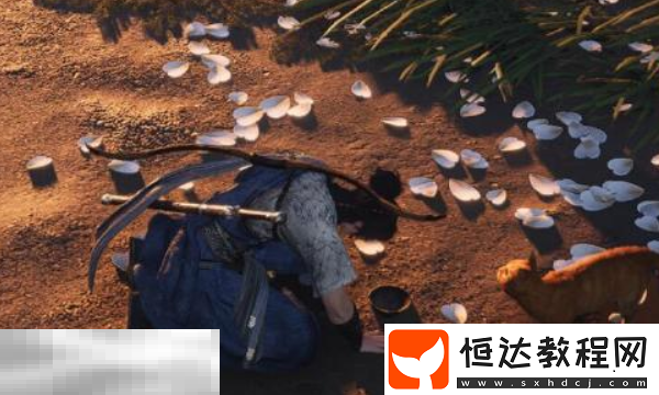 四時(shí)無(wú)常獲取位置介紹