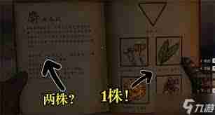 天國拯救2新手村草藥點位分布詳解