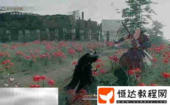 貓咪位置及任務(wù)流程詳解