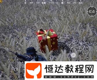 和平精英圣誕空投補給箱道具全解析：冰霜手槍、圣誕小雞弟弟等你來拿
