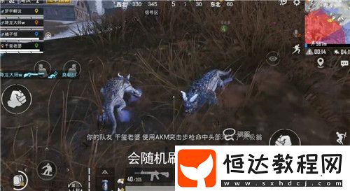 和平精英冰雪年獸刷新位置及馴服攻略：如何找到并馴服新怪獸