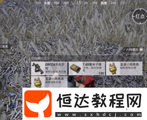 和平精英圣誕跳舞小雞獲取方法詳解：如何獲得圣誕小雞哥哥和弟弟