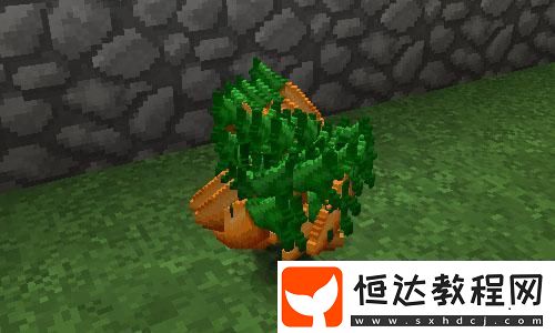 特斯拉載具抽獎(jiǎng)攻略