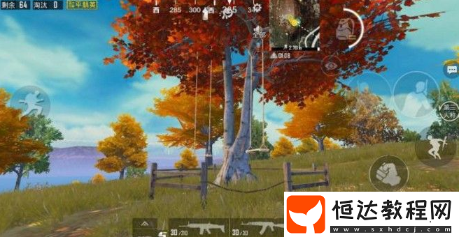 和平精英新版本海島地圖楓葉林 情侶休閑新場(chǎng)地