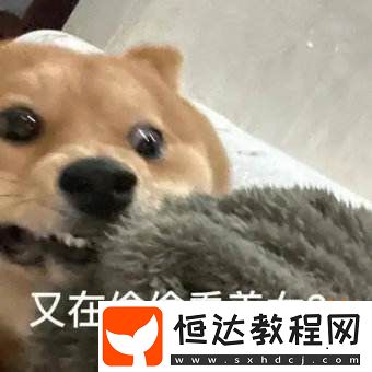 喜歡**已經(jīng)成為現(xiàn)在的主流審美了