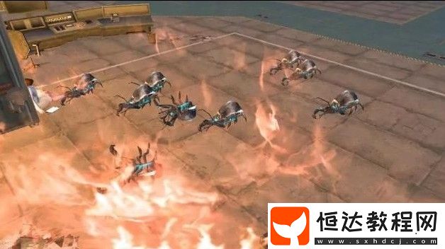 明日之后希望谷感染甲蟲打法攻略：燃燒瓶與火把技巧詳解