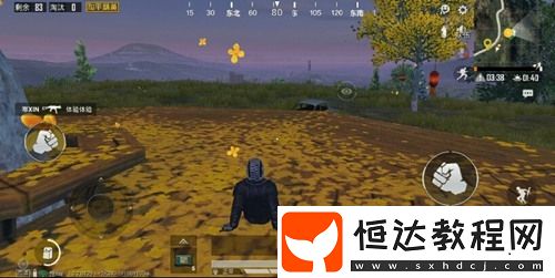 和平精英月兔模式玩法詳解：中秋賞花、放河燈、獲取中秋禮物全攻略