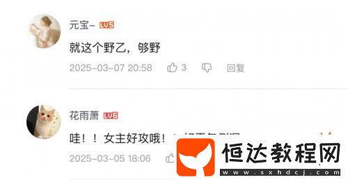 沒想到還有野乙這個門類！以閃亮之名還是過于偉大了