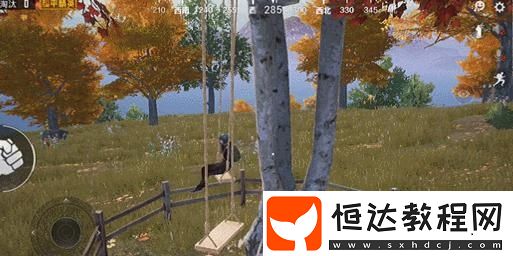 和平精英蕩秋千位置揭秘：海島楓樹林Z城雙人無敵玩法指南