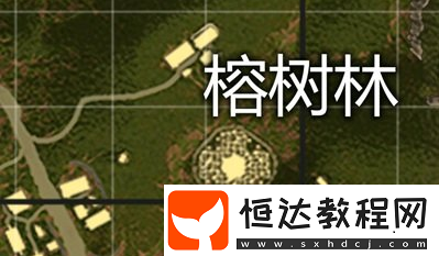絕地求生刺激戰(zhàn)場雨林地圖跳傘攻略：河靜、榕樹林、派南最佳落點解析