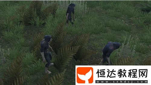 明日之后茅斯沼澤地圖詳解：沼澤、密林、倉(cāng)庫(kù)三大區(qū)域攻略與危險(xiǎn)提示