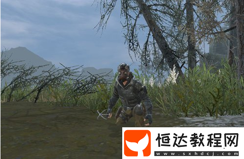 明日之后茅斯沼澤地圖詳解：沼澤、密林、倉(cāng)庫(kù)三大區(qū)域攻略與危險(xiǎn)提示