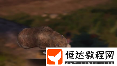 明日之后夢中熊仔在哪？領(lǐng)地尋找全攻略