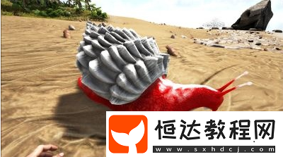 方舟生存進(jìn)化瑪瑙螺飼料制作攻略：如何馴服與喂養(yǎng)瑪瑙螺獲取水泥和有機(jī)聚合物
