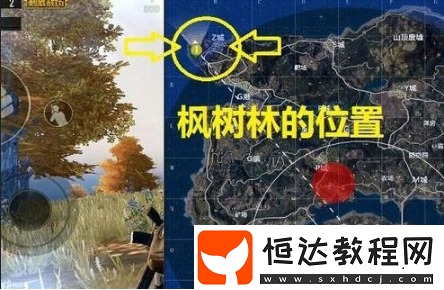絕地求生刺激戰(zhàn)場S4賽季第一周任務(wù)：海島地圖野餐聚點探秘